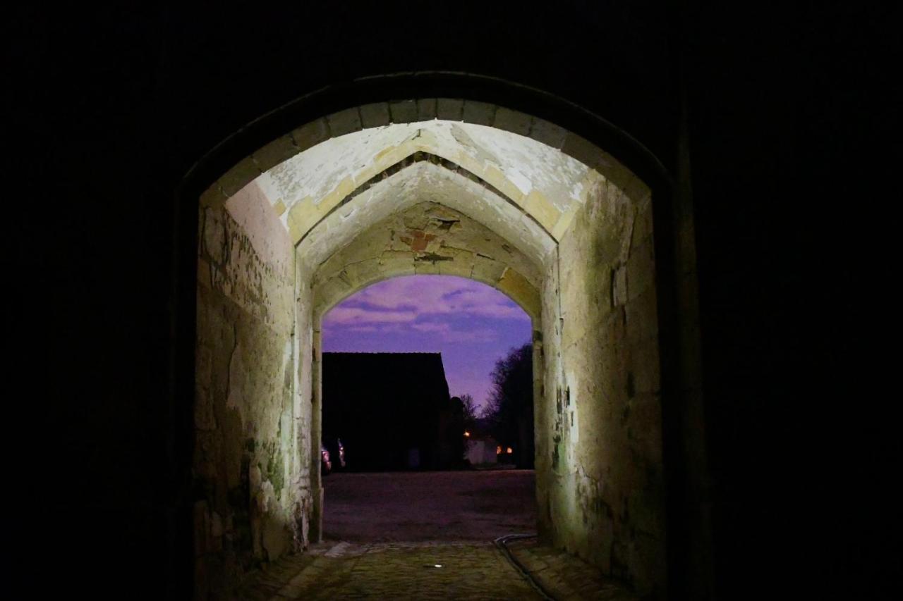 Un château en Bourgogne Saincaize-Meauce Exterior foto