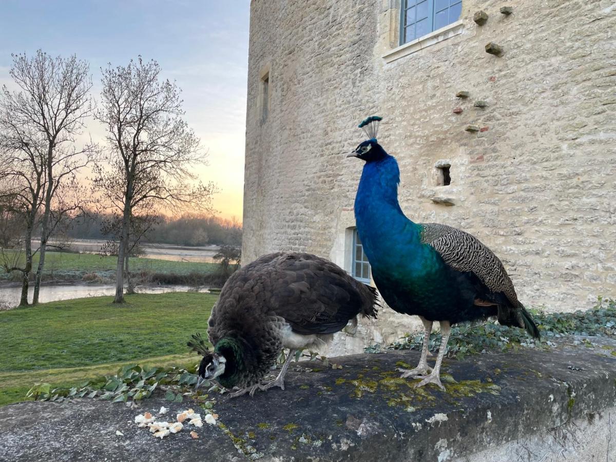 Un château en Bourgogne Saincaize-Meauce Exterior foto